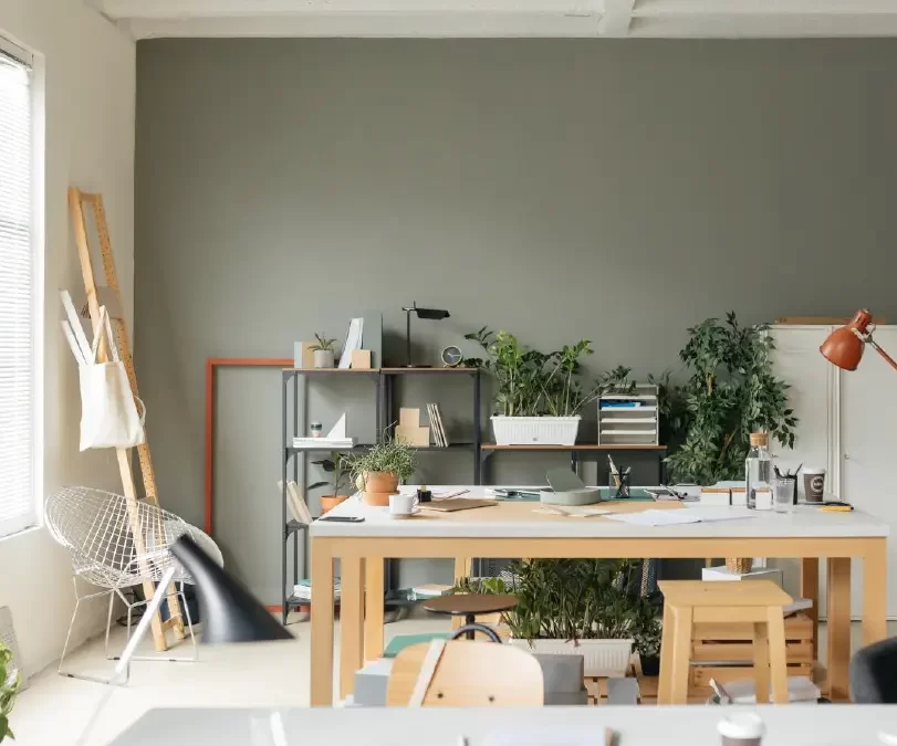 January 2025 Newsletter